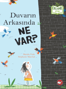 Duvarın Arkasında Ne Var?