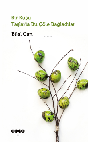 Bir Kuşu Taşlarla Bu Çöle Bağladılar